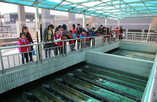 環(huán)保公眾開放日第一站 走進(jìn)污水處理廠 看污水如何變清水